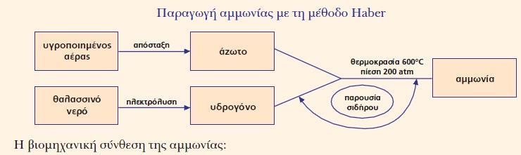 Β. Νοητική οργάνωση: α.