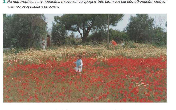 Β. Νοητική οργάνωση: β.