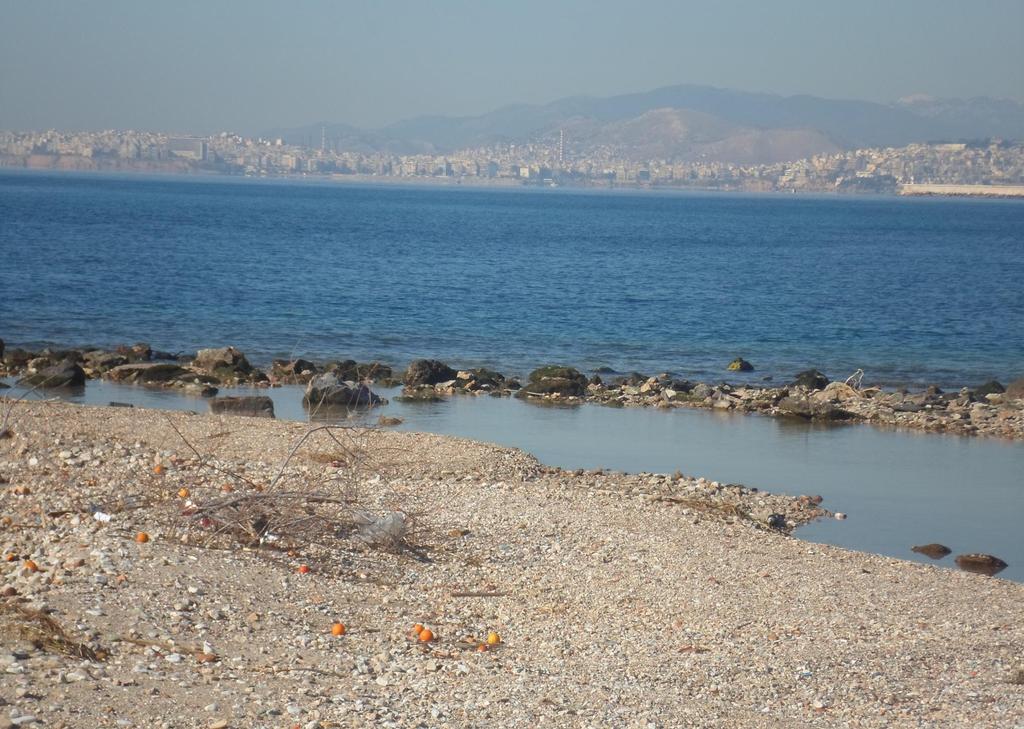 Θ ομάδα μασ Ζλενα Αρτυμάτθ Μάνοσ Γεμιςτόσ Ελευκερία Γιαννακοφ Νικολζτα Δροςοποφλου Άλεξ Ηίου Βαςίλθσ Κουμεντζασ Μαρία Καβαλιζρου Σωκράτθσ Μάμμοσ Μανωλίτςθσ