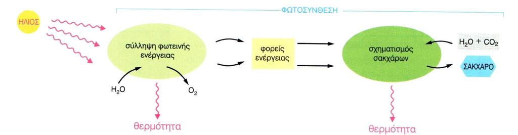 Σα δφο ςτάδια