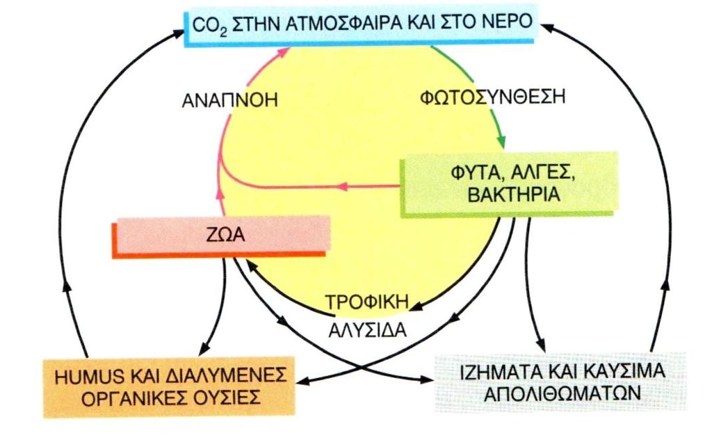 Κφκλοσ