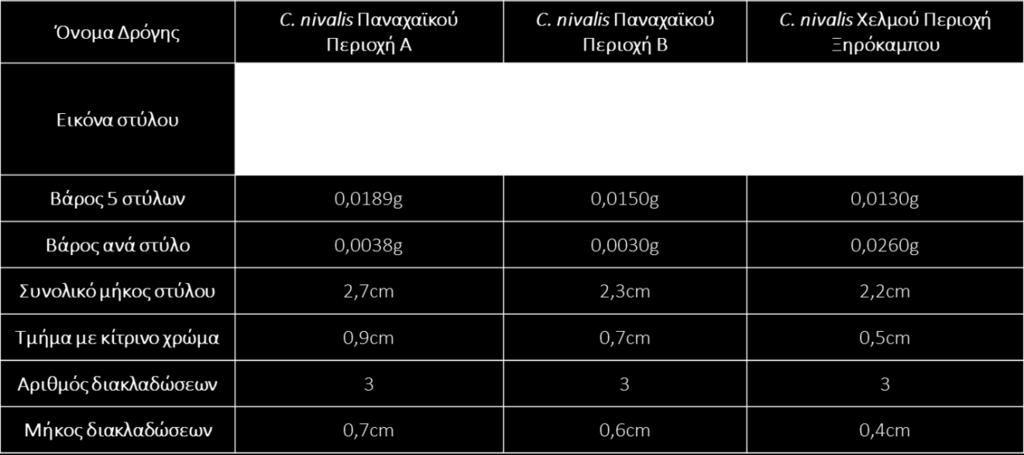 διακλαδώσεις τους. Πίνακας 5: Πίνακας παρουσίασης των μορφολογικών χαρακτηριστικών των στύλων των συλλεχθέντων πληθυσμών του C. nivalis. Β. GC-MS ανάλυση αιθέριων ελαίων του C. sativus και C.