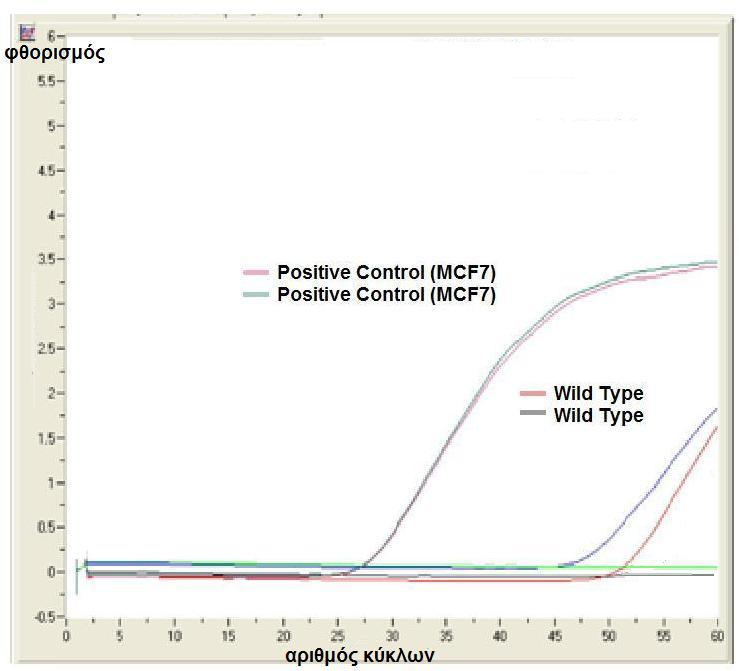 6.5.2 Βελτιστοποίηση της θερμοκρασίας υβριδισμού των εκκινητών της ARMS- PCR για τη μετάλλαξη 1633 G>A του εξονίου 9 του PIK3CA.