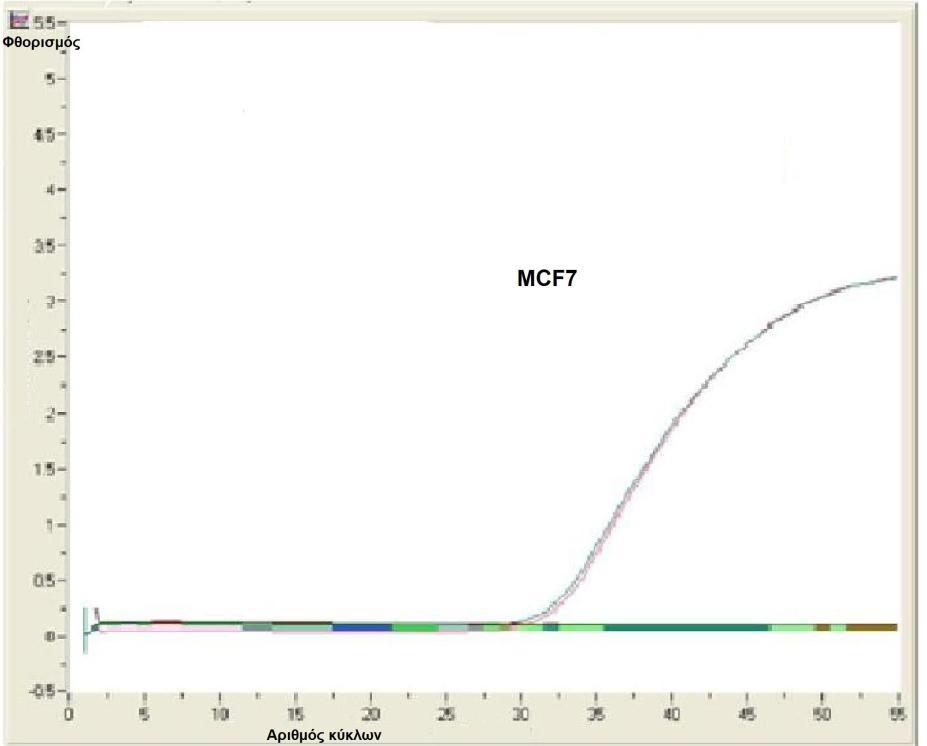Σχήμα 6.8: Η καμπύλη ενίσχυσης της PCR, στην οποία έχουμε θέσει T an = 63 ο C.