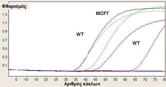 (MCF7). Σχήμα 6.9: Η καμπύλη ενίσχυσης της PCR, επαναληπτικού πειράματος στο οποίο έχουμε θέσει T an = 63 ο C.