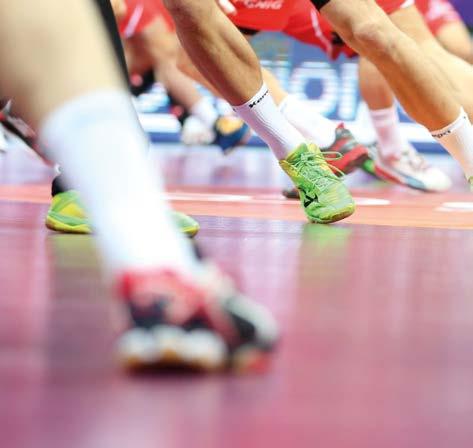 Ενασχόληση με το θέμα των παραδοσιακών προσθέτων και υποβολή σχετικής ενημερωτικής έκθεσης στα πλαίσια κάθε ετήσιας Έκθεσης Προόδου της VinylPlus.