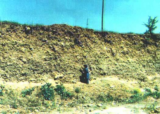 ικανότητα του χειµάρρου. Η µεγαλύτερη κλίση δηµιουργείται από µεγάλη στερεοπαροχή του χειµάρρου.