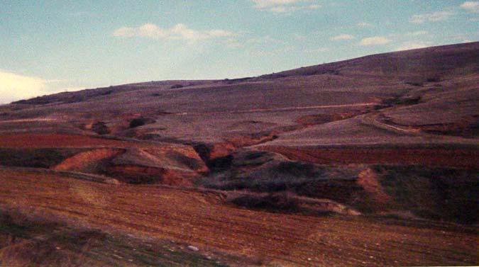 3.2). Φωτ. 6.3.2 : Γεωµορφές Gullies στην θέση «Κόπανο» (υψοµ. 200m) στην επιφάνεια των νέο-glacis (γεωµορφολογική ζώνη των πεδιάδων, /Ν Μενοικίου), Οι ξηρές (ή αδρανείς) κοιλάδες (Ξ.Α/Κ) (βλ.
