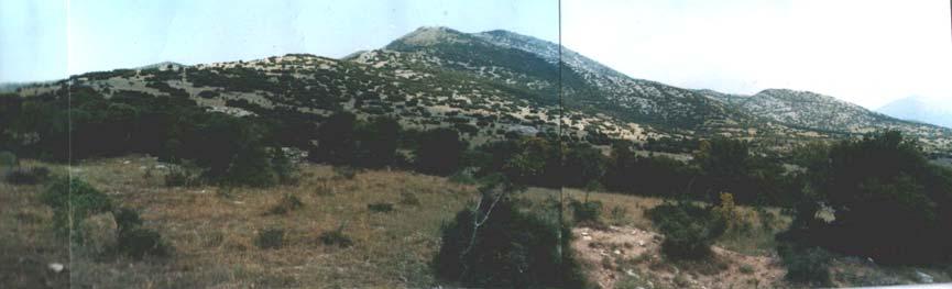 81 δ/νση σχηµατισµού της πόλγης), επάνω στα µάρµαρα, στην /Ν πλευρά της πόλγης Αχλαδοχωρίου. Το σχήµα τους είναι περίπου επίµηκες, έχουν µικρή έκταση και µέση επιφανειακή κλίση 4.