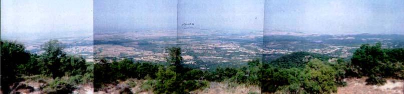 Βερτίσκου, δηλ. των επιµήκων ράχεων (κατά µήκος του υδροκρίτη), που εναλάσσονται µε κοιλάδες, π.χ στις θέσεις : «Ερ.Καστανοχωρίου» (580m-560m) (φωτ.6.3.