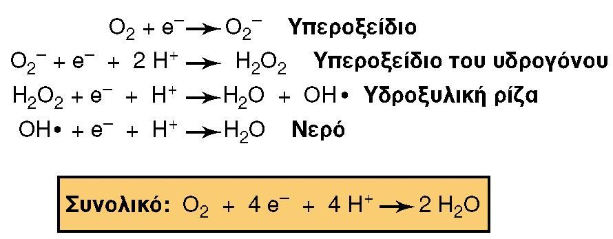 ΤΟΞΙΚΕΣ ΜΟΡΦΕΣ ΟΞΥΓΟΝΟΥ Εικόνα 6.