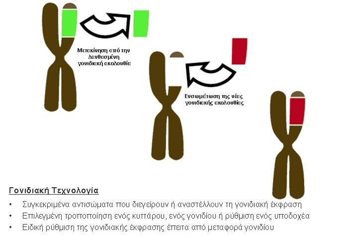 Γονιδιακό Ντόπινγκ Ορίζεται ως «η μη θεραπευτική χρήση των κυττάρων, γονιδίων, γενετικών στοιχείων, ή η