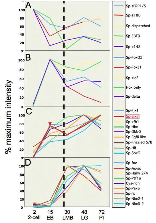 Εικ 22 Temporal expression profiles of genes in the provisional early APD set. Profiling methods were as described by Wei et al. (Wei et al., 2006).