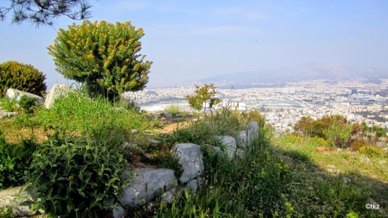 αστικού πρασίνου Ιδιαίτερη έμφαση στα Πάρκα Πανεπιστημιακά