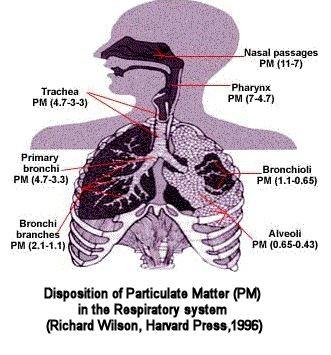 Τα λεγόμενα PM10 ή αλλιώς εισπνεύσιμα σωματίδια (inhalable particles), τα οποία εισέρχονται στο ανώτερο σύστημα της αναπνευστικής οδού (ρινοφάρυγγας) και έχουν αεροδυναμική διάμετρο έως 10 μm.