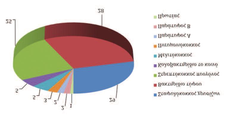 ΙΣΤΟΡΙΕΣ ΕΛΛΗΝΙΚΩΝ ΜΙΚΡΟΒΙΟΛΟΓΙΚΩΝ ΕΡΓΑΣΤΗΡΙΩΝ: ΝΟΣΟΚΟΜΕΙΟ ΕΥΑΓΓΕΛΙΣΜΟΣ (1900-1940) Εικόνα 5 Ποσοστά (%) των βακτηρίων που απομονώθηκαν στο σύνολο των θετικών αιμοκαλλιεργειών του Μικροβιολογικού