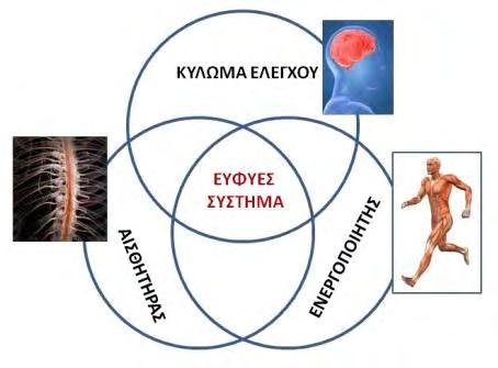 Κεφάλαιο 4 ΚΕΦΑΛΑΙΟ 4 ΠΟΛΥ-ΛΕΙΤΟΥΡΓΙΚΑ ΥΛΙΚΑ 4.