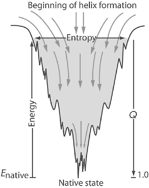 Ab Initio Prediction 2/4 Προσομοίωση της αναδίπλωσης της πολυπεπτιδικής αλυσίδας Μοριακή Δυναμική με πλήρη αναπαράσταση