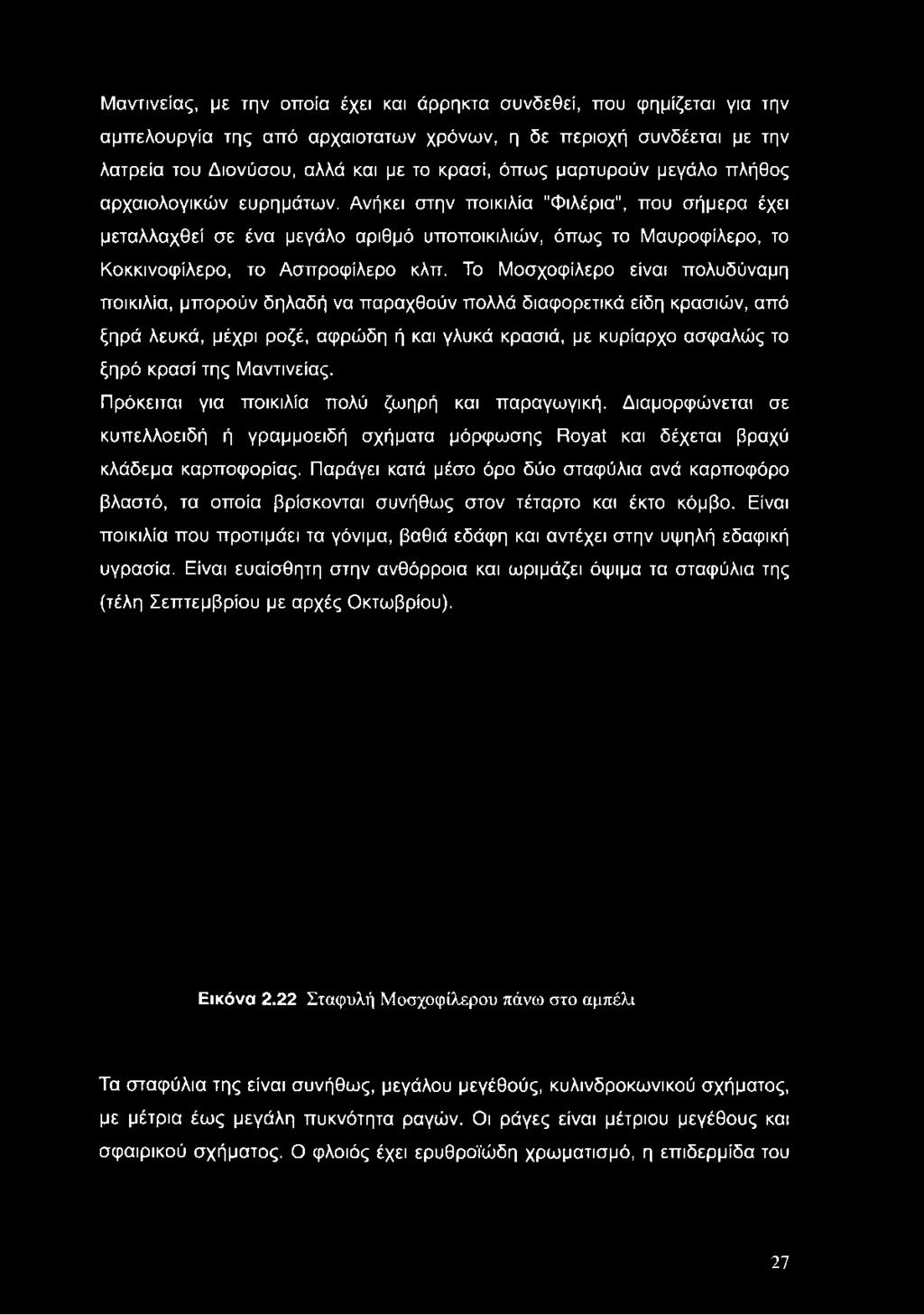 Ανήκει στην ποικιλία "Φιλέρια", που σήμερα έχει μεταλλαχθεί σε ένα μεγάλο αριθμό υποποικιλιών, όπως το Μαυροφίλερο, το Κοκκινοφίλερο, το Ασπροφίλερο κλπ.