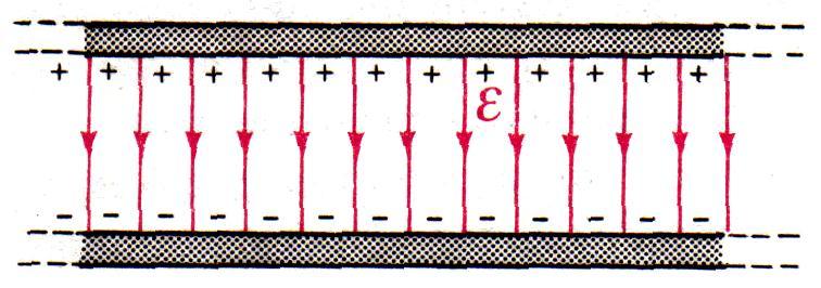 7 Φυσική ενικής Παιδείας Β Λυκείου Δυνάμεις μεταξύ εκτρικών φορτίων- Μορφές πεδίων Ομογενές ονομάζουμε ένα εκτροστατικό πεδίο αν η ένταση σ όλα τα σημεία του είναι σταθερή κατά διεύθυνση φορά και