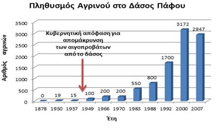 39. Στην πιο κάτω γραφική παράσταση, Εικόνα 28, παρουσιάζεται η μεταβολή του πληθυσμού του Αγρινού στο δάσος Πάφου μετά την απομάκρυνση των αιγοπροβάτων από το δάσος το 1942.