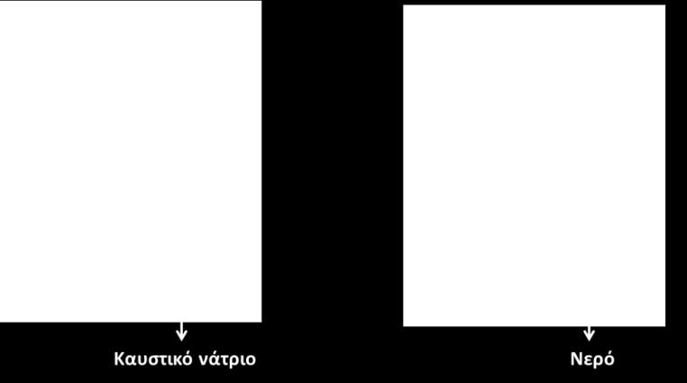 Ποιον παράγοντα / πρώτη ύλη που είναι απαραίτητα για τη φωτοσύνθεση προσπάθησαν να διερευνήσουν με το πιο πάνω πείραμα; Εικόνα 11 A. Το καυστικό νάτριο B. Το νερό C. Τη χλωροφύλλη D.