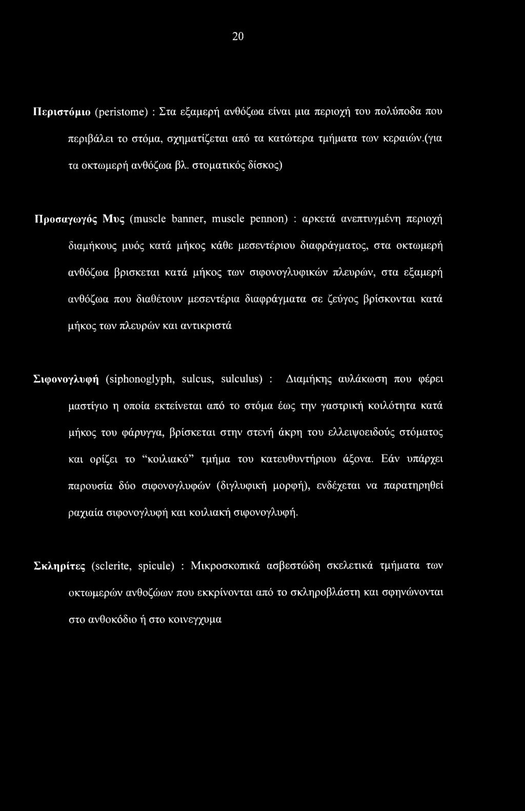 σιφονογλυφικών πλευρών, στα εξαμερή ανθόζωα που διαθέτουν μεσεντέρια διαφράγματα σε ζεύγος βρίσκονται κατά μήκος των πλευρών και αντικριστά Σιφονογλυφή (siphonoglyph, sulcus, sulculus) : Διαμήκης