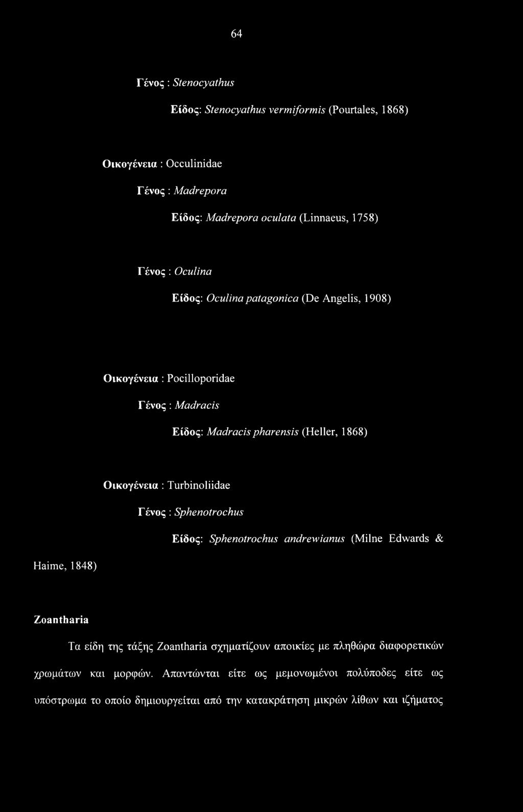 Turbinoliidae Γ ένος : Sphenotrochus Είδος: Sphenotrochus andrewianus (Milne Edwards & Haime, 1848) Zoantharia Τα είδη της τάξης Zoantharia σχηματίζουν αποικίες με