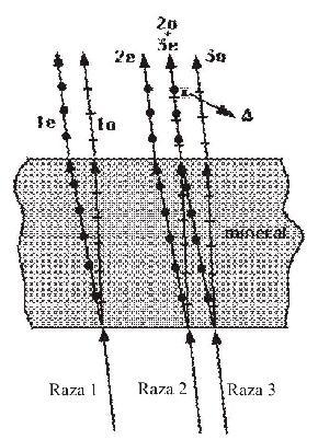 Fig. 1.13 Defazarea razelor la trecerea printr-un mineral anizotrop ( - întârzierea sau diferenţa de drum optic) (http://edafologia.ugr.es) c.
