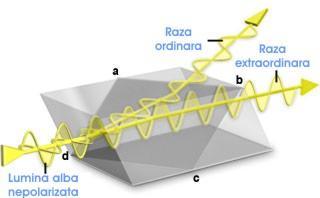 Fig. 1.16 Propagarea razelor refractate printr-o prismă Nicol (http://www.olympusmicro.