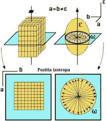 Fig. 2.7 a. Indicatricea uniaxă (http://edafologia.ugr.