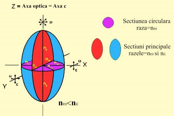 Fig. 2.8 a. Indicatricea uniaxă pozitivă - alungire pe direcţia axei optice (http://www.brocku.ca) Fig.2.8 b.