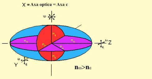 ca) În sistemele categoriei inferioare: rombic, monoclinic şi triclinic, indicatricea are forma unui