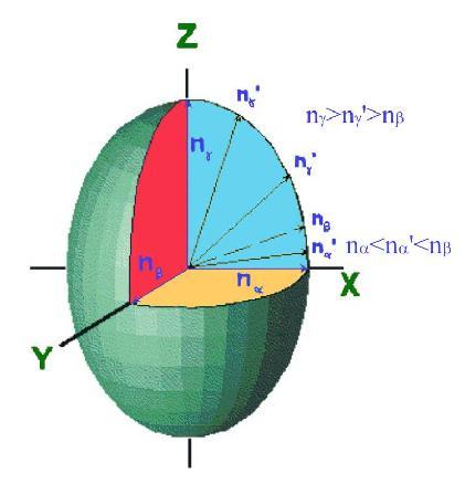 Fig.2.9 b. Deoarece n <n <n în planul XZ, trebuie să existe o rază egală cu n în cele patru cadrane ale elipsei XZ (http://www.brocku.ca).