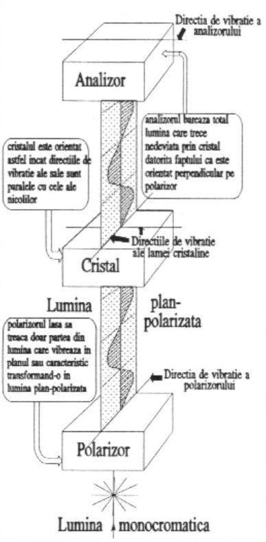 2. Extincţia Extincţia este proprietatea mineralelor anizotrope de a apărea întunecate atunci când direcţiile de vibraţie ale celor două raze refractate în mineral sunt paralele cu direcţiile de