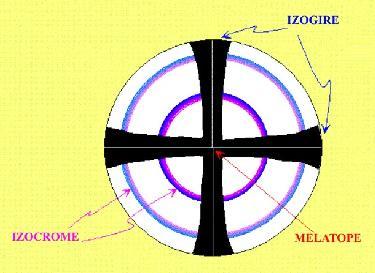 Figura de interferenţă poate fi observată scoţând ocularul şi privind în tubul microscopului imaginea formată în planul focal al obiectivului; imaginea care se vede este mică dar foarte clară.