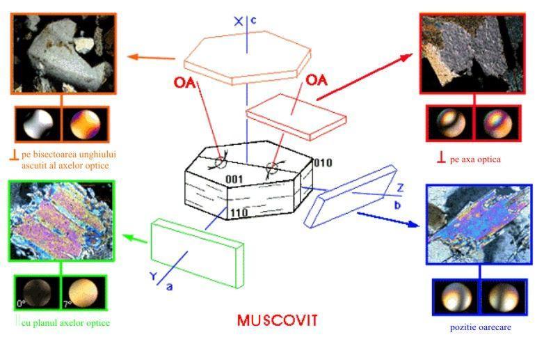 7 şi Fig. 6.