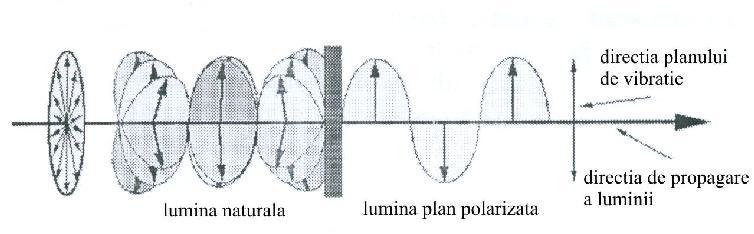 Polarizaţia luminii Campul electric al luminii naturale vibrează în toate direcţiile în spaţiu şi axa ei este definită de rază (care poate fi considerată ca fiind perpendiculara la toate direcţiile