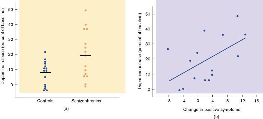 ΣΧΙΖΟΦΡΕΝΕΙΑ ΝΕΥΡΟΦΑΡΜΑΚΟΛΟΓΙΑ Copyright 2004 Allyn and Bacon Η ντοπαμινεργική υπόθεση αμφισβητήθηκε αφού τα αντιψυχωσικά φάρμακα (αναστολείς ντοπαμίνης) δεν είναι αποτελεσματικά για όλους τους