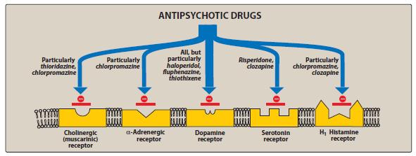 ΣΥΓΓΕΝΕΙΑ ΜΕ ΥΠΟΔΟΧΕΙΣ Οι κλινικές δράσεις οφείλονται στον ανταγωνισμό των υποδοχέων ντοπαμίνης και σεροτονίνης.