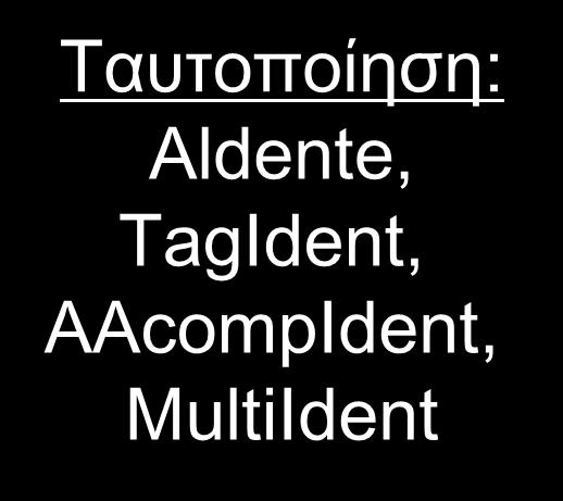 TagIdent, AAcompIdent, MultiIdent