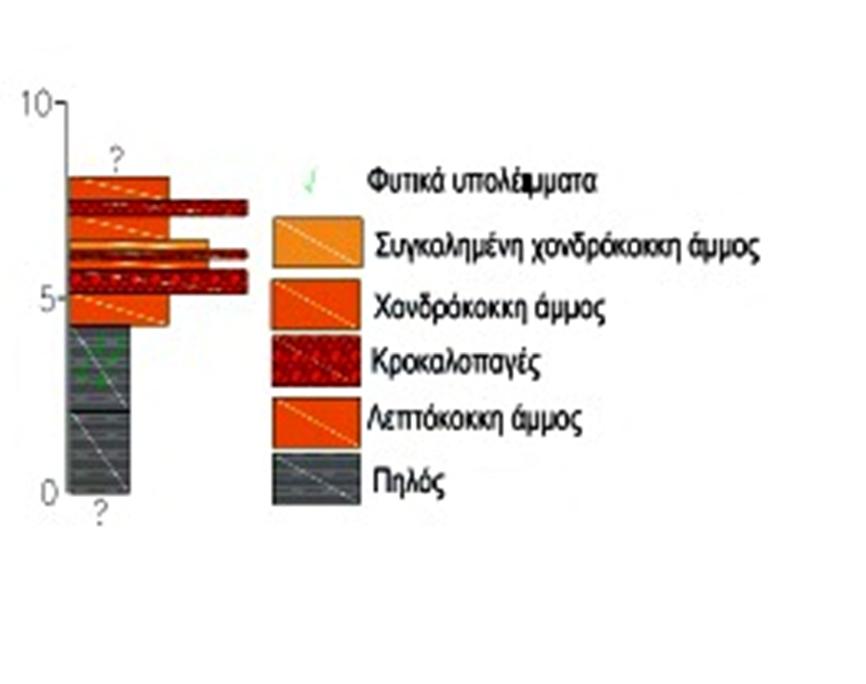 8. Λεπτόκοκκη πορτοκαλί αμμος,διακρίνονται ελάσματα. Απουσία απολιθωμάτων 9. Πολύμεικτο κροκαλοπαγές (ίδιο με στρώμα 4) 10.