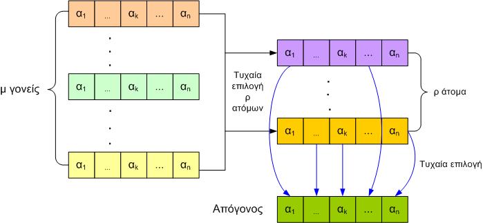 Στρατηγικές Εξέλιξης (ESs) Ανασυνδιασμός (ES) == Διασταύρωση (GA)