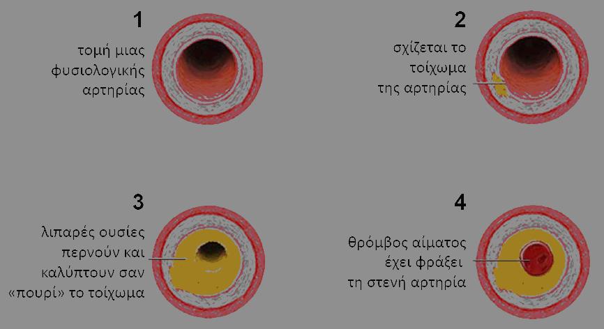 ΕΝΤΥΠΟ Β : ΟΔΗΓΟΣ ΟΡΓΑΝΩΣΗΣ ΤΗΣ ΔΙΔΑΣΚΑΛΙΑΣ φορές, διαδοχικά, την παρακάτω εικόνα.