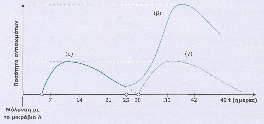 2. Το διάγραμμα που ακολουθεί παρουσιάζει τη μεταβολή της συγκέντρωσης των αντισωμάτων στο αίμα ανθρώπου που μολύνθηκε από δύο