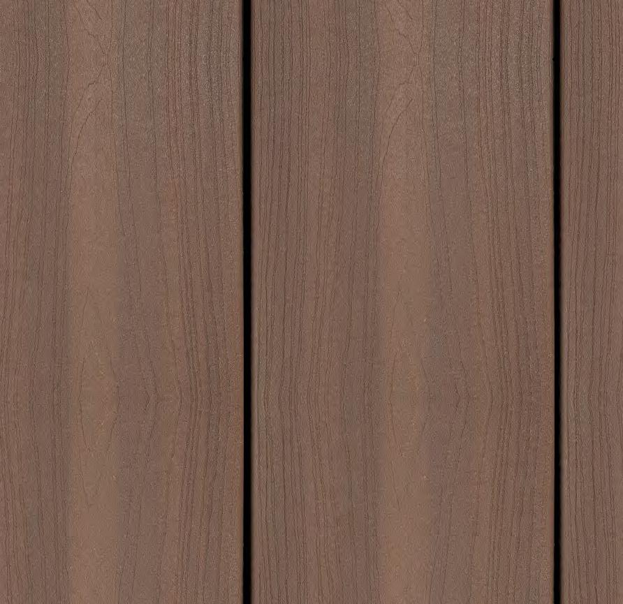 Acorn  