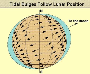Η κατανομή των υπολειπόμενων παλιρροιακών δυνάμεων (residuals of tideproducing forces) δείχνει ότι οι δυνάμεις αυτές έχουν φορά προς το εσωτερικό της Γης στα σημεία κατά μήκος του άξονα Γης Σελήνης,