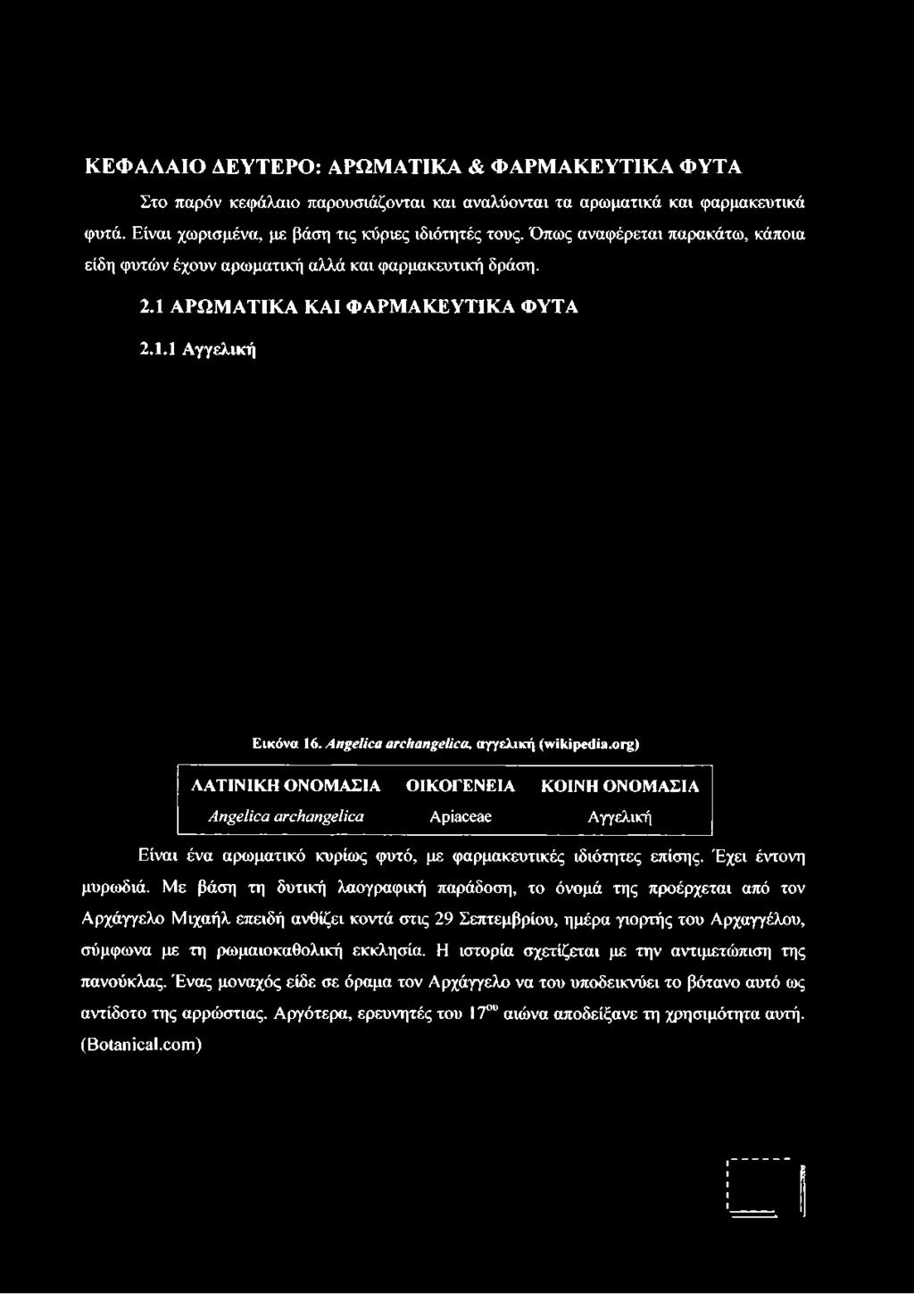 1 Α Ρ Ω Μ Α Τ ΙΚ Α ΚΑΙ Φ Α ΡΜ Α Κ Ε Υ Τ ΙΚ Α Φ Υ ΤΑ 2.1.1 Α γγελική Εικόνα 16. Angelica archangelica, αγγελική (wikipedia.