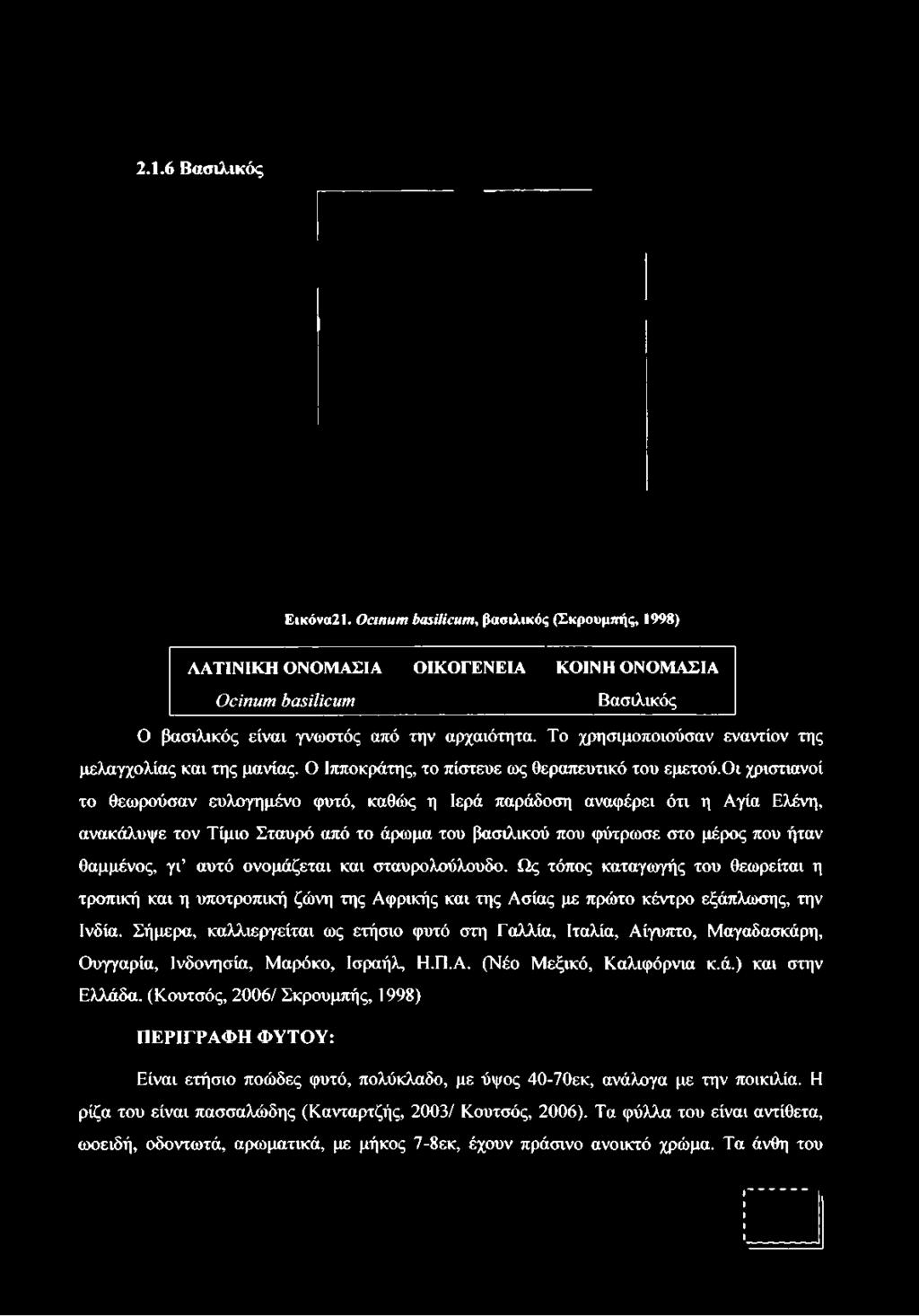 οι χριστιανοί το θεωρούσαν ευλογημένο φυτό, καθώς η Ιερά παράδοση αναφέρει ότι η Αγία Ελένη, ανακάλυψε τον Τίμιο Σταυρό από το άρωμα του βασιλικού που φύτρωσε στο μέρος που ήταν θαμμένος, γ