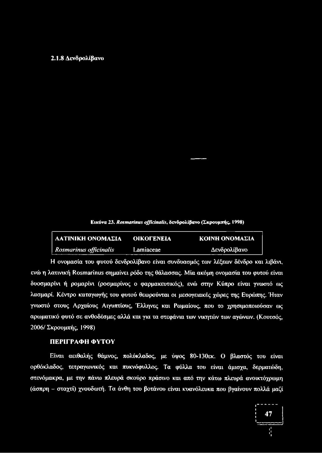 2.1.8 Δενδρολίβανο Εικόνα 23.